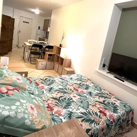 Magnifique Apartment Le Puy-en-Velay